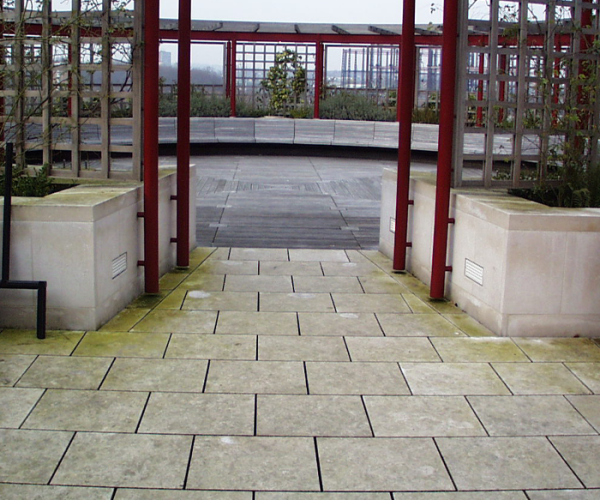 Paving-area-having-few-litchens